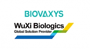 BioVaxys Reports Progress on Covid-19 Vax Candidate