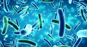 Probiotic Bio-K Plus Linked to Reduced Incidence of C. difficile Infection