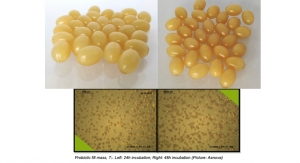 Aenova Launches Probiotic-Containing Capsules 