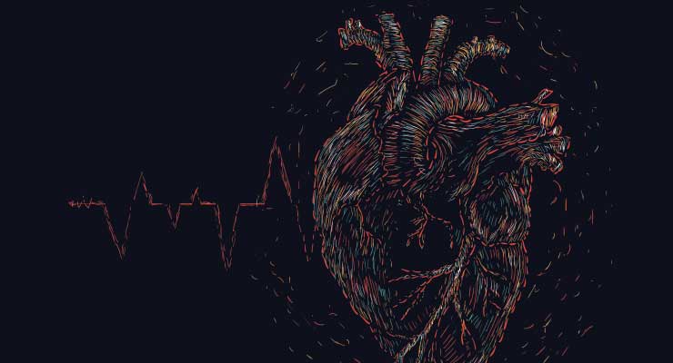 Cardiovascular Devices Help Hearts Keep the Beat