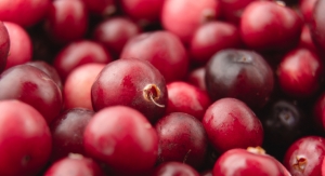 Cranberry Supplement Shown to Reduce UTIs in Men and Women After Catheterization