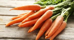 Soluble Fiber Ingredient From Carrot Pommace Shown In Vitro to Influence Gut Microbiome for Immune, Gut Health