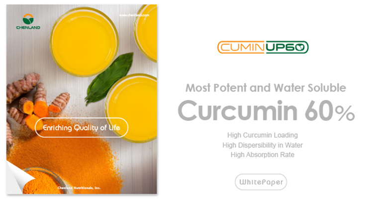 CuminUP60®: Most Potent and Water Soluble Curcumin 60