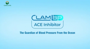 ClamBP<sup>TM</sup>: Supporting Kidney Health and Healthy Blood Pressure from the Depths of the Ocea