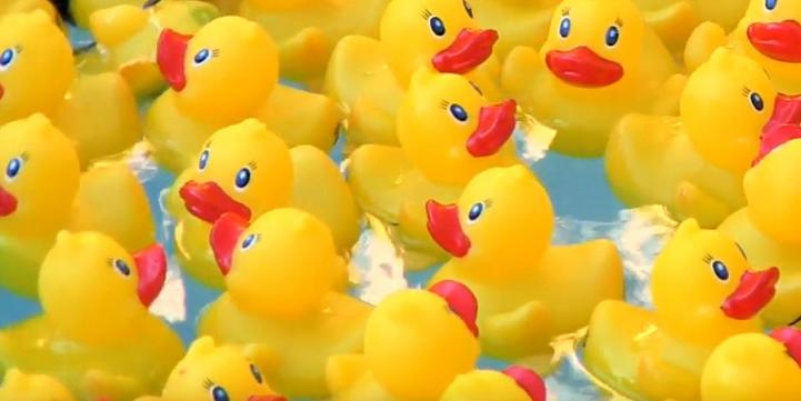 American Cleaning Institute Announces Return of Charity Duck Race