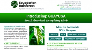 Introducing: GUAYUSA South America’s Energizing Herb