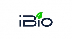 iBio Advances Lead COVID Vax Program IBIO-202