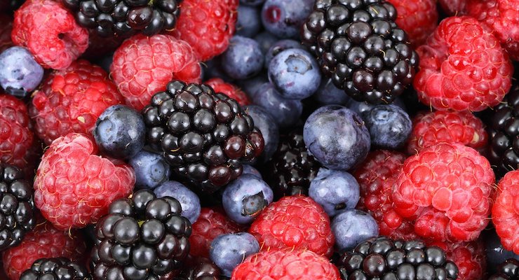 Flavonoids Reduce All-Cause Mortality Risk in Parkinson’s Disease Patients 