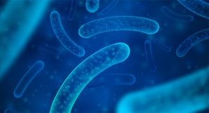 The role probiotics can play on gut health