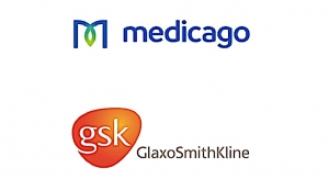 Health Canada Approves Medicago, GSK’s COVIFENZ COVID Vax