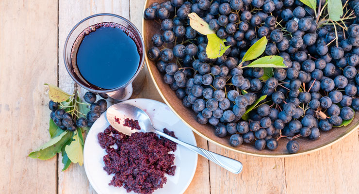 Antioxidants from Berries: An Overview of Flavonoids, Functionality, and Formulation