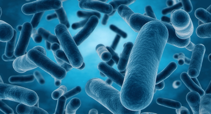Lallemand Probiotic Receives Health Claim Approval in Canada 