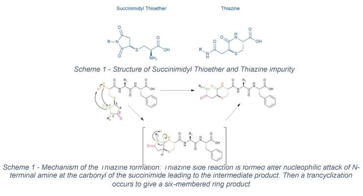 The thiol-maleimide reaction downside