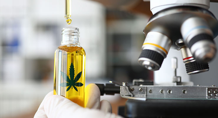 Two Cannabis Compounds Inhibit COVID-19 Infection in In Vitro Study