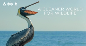 Dawn Dish Soap Launches New Initiatives to Help Save Wildlife