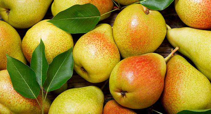 Formulating Skin Care Products with Pear Enzyme Technology
