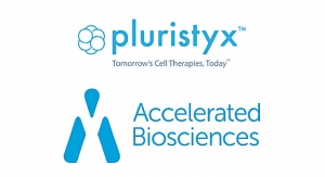 Pluristyx and Accelerated Biosciences Enter Clinical Manufacturing Partnership