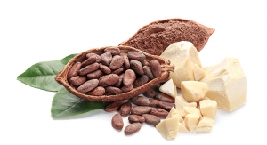 Cocoa Butter Powdered Moisturizer Awarded US Patent