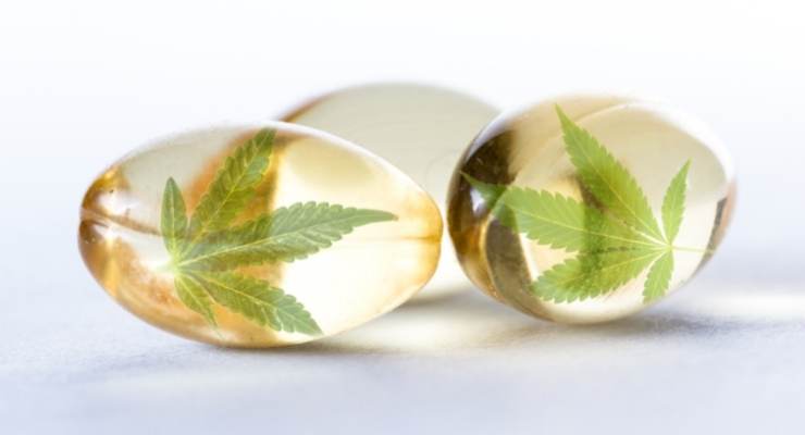 EFSA: Data Too Limited To Evaluate CBD as Novel Food Ingredient 