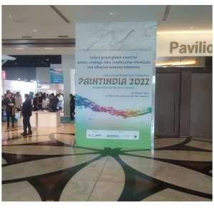 PaintIndia 2022 - Participants Observations