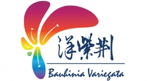 Yip’s Chemical Holdings Limited/Bauhinia Ink Company Limited