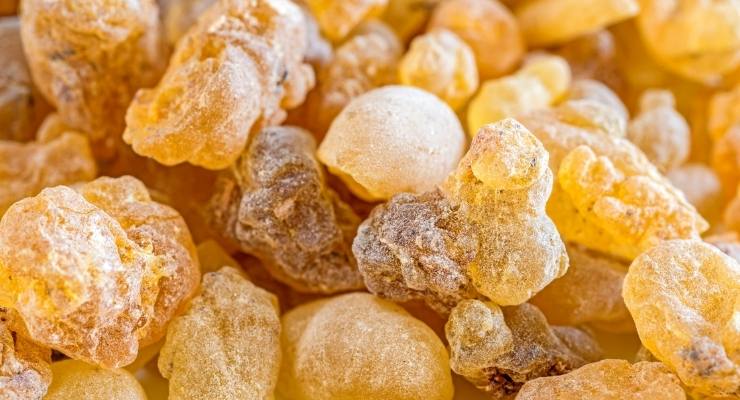 Boswellia Serrata Extract Shown in Study to Support Joint Function in Five Days 