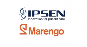 Ipsen, Marengo Therapeutics Enter Strategic Immuno-Oncology Pact