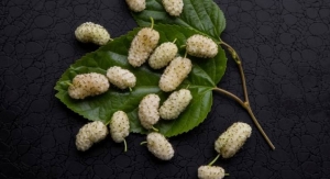 AHP Publishes Report on White Mulberry Following Death of Lori McClintock 