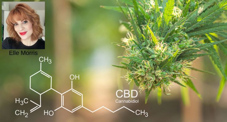 CBD’s Evolution In The Beauty Industry