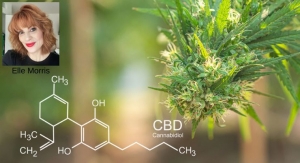 CBD’s Evolution in the Beauty Industry