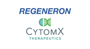 Regeneron, CytomX Partner on Next-Gen Bispecific Immunotherapies