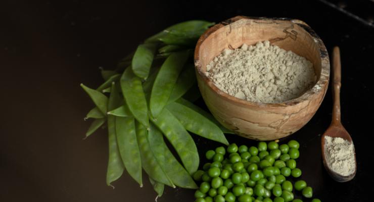 Merit Functional Foods Launches New Organic Pea Protein 
