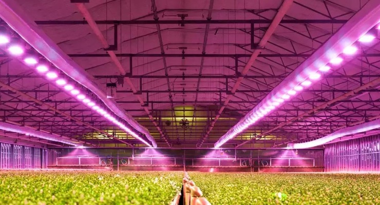 Energous, ams OSRAM to Develop Wireless Solutions for Agricultural Sensors