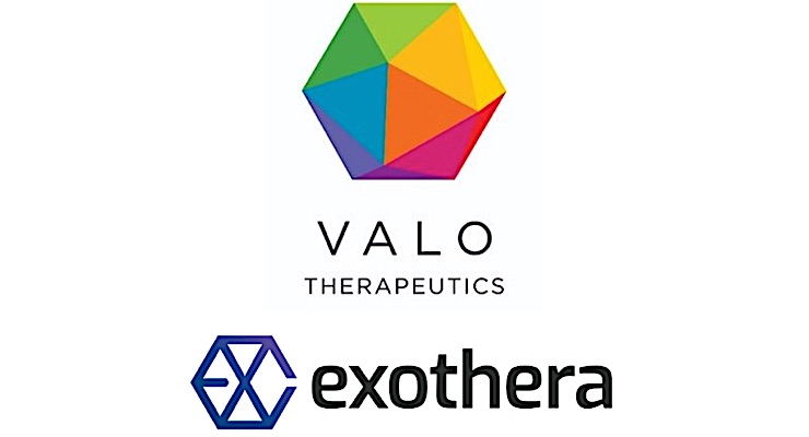 Valo Selects Exothera to Develop Large-scale Oncolytic Adenovirus Manufacturing