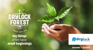 Drylock Technologies Plants First Trees in Drylock Forest