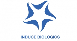 Induce Biologics Launches NMP Cancellous Strips