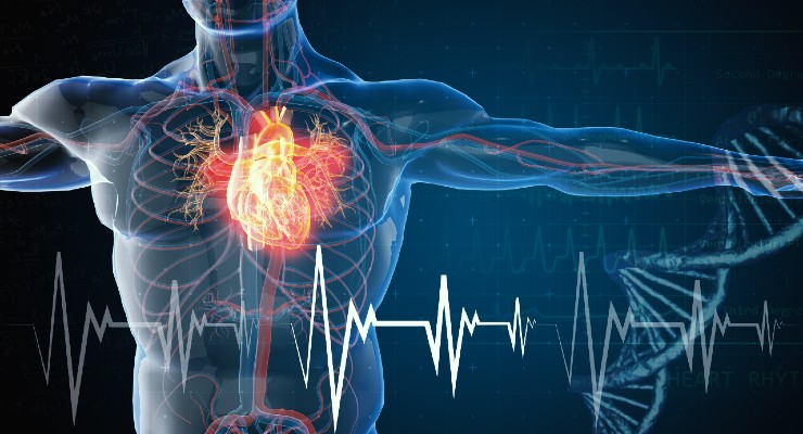 Cardio Diagnostic Holdings, Lifespan.io Collaborate on Heart Disease Research