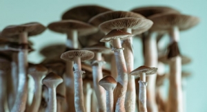 Alkemist Labs Creates Validated Method for Plant and Fungi-Based Psychedelics 
