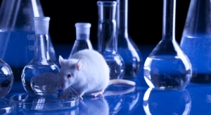 Canada Bans Cosmetics Animal Testing and Trade