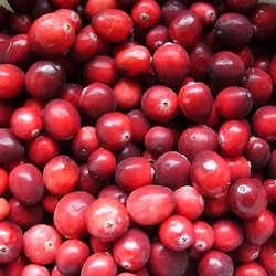 Immune Support from Cranberries