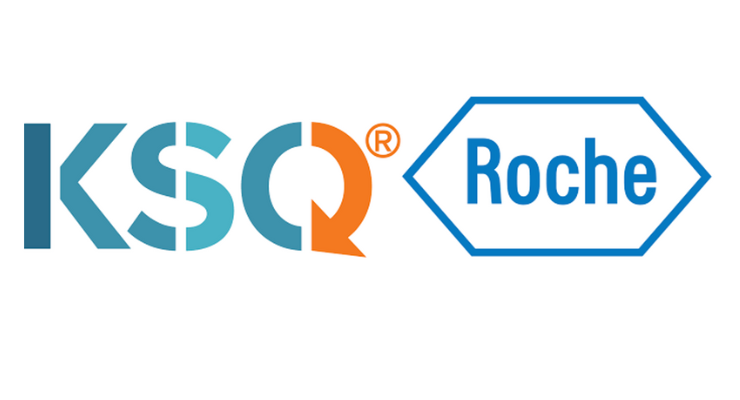 Roche Logo PNG Transparent & SVG Vector - Freebie Supply