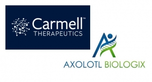 Carmell Therapeutics Merges with Axolotl Biologix 