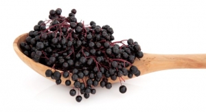 Immudyne Nutritional Launches ElderPureMune, a Beta-Glucan Elderberry Blend 