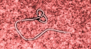 Satio Gains BARDA Funding for Patch-Based Ebola Diagnostic