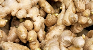 DolCas to Showcase Research on Ginger Extract and PMS Symptoms