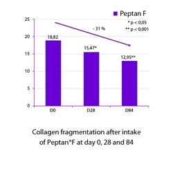 Study Shows Rejuvenation of Skin Collagen with Peptan F