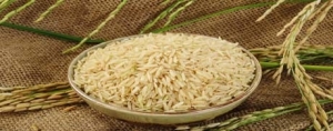 Unlocking the Global Health Potential of Rice Bran