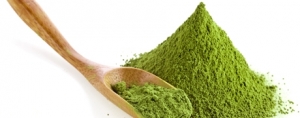 Brain-Enhancing Drinks: Green Tea Should be the Vehicle of Choice 