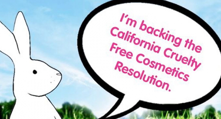 California Calls To End Animal Testing | Beauty Packaging