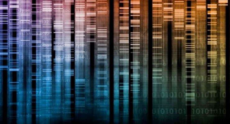 White Paper on DNA Barcode Testing Refutes Results from New York AG Investigation